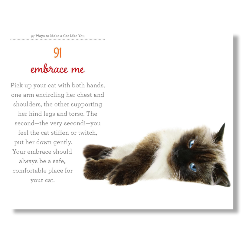 97 Ways to Make Your Cat Like You - B Cool 2