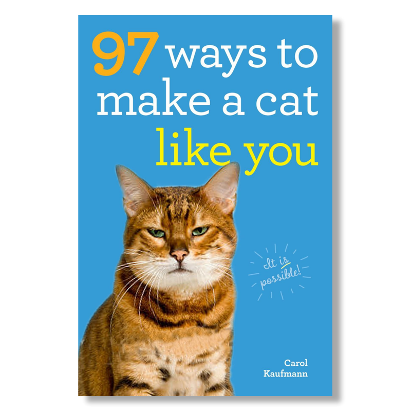 97 Ways to Make Your Cat Like You - B Cool 2