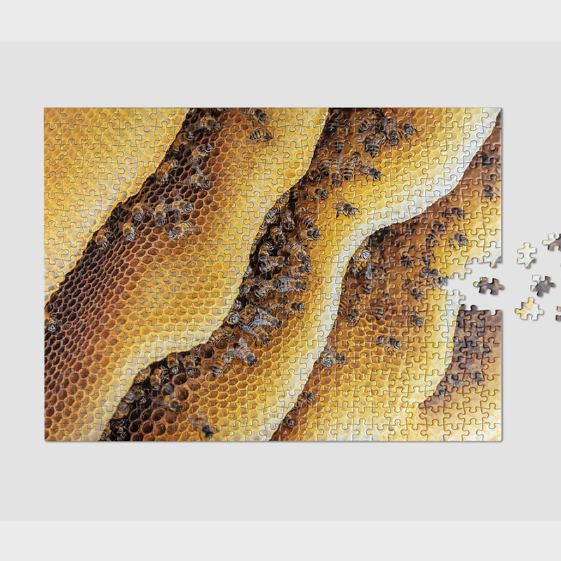 Puzzle - Patrón de vida silvestre, abeja (500 piezas)