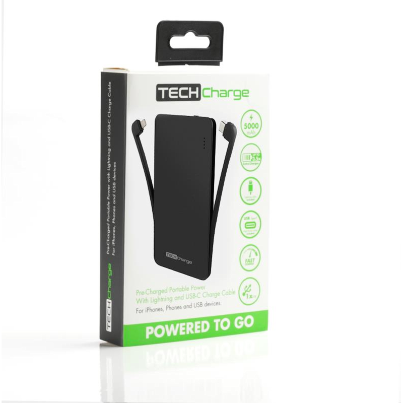 TechCharge Lightning/Type C Charger - B Cool 2