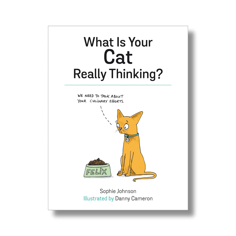 What Is Your Cat really Thinking? Gift book for cat owners Funny thoughts from your pet